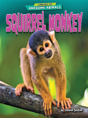 cover image of Squirrel Monkey